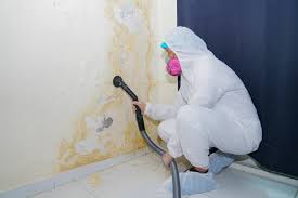 Mold Removal for HVAC Installations in Rock Island, IL